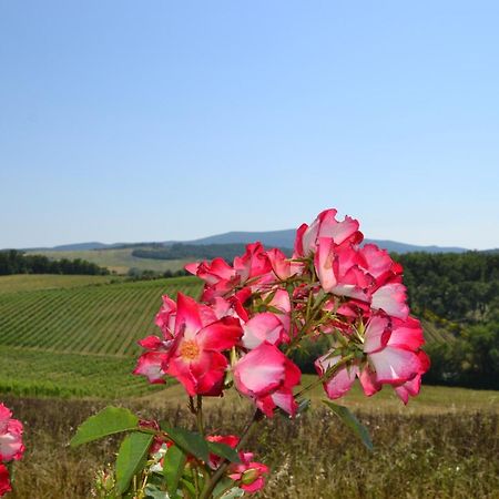Agriturismo Cignanbianco Castellina in Chianti Exteriér fotografie