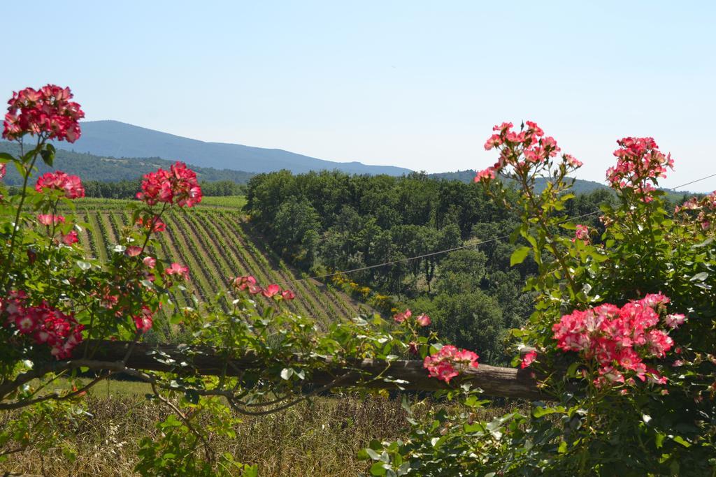 Agriturismo Cignanbianco Castellina in Chianti Exteriér fotografie