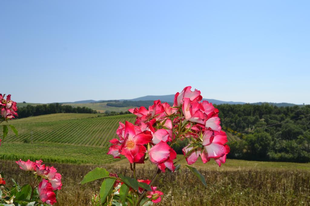 Agriturismo Cignanbianco Castellina in Chianti Exteriér fotografie